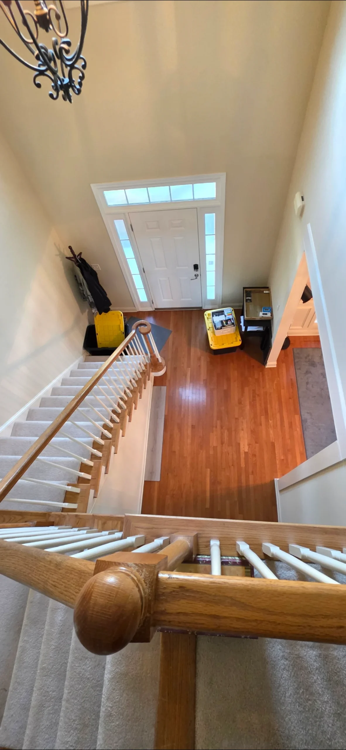 Hardwood entryway with carpeted staircase